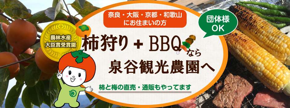 奈良・大阪・京都・和歌山にお住まいの方 柿狩り+BBQなら泉谷観光農園へ 農林水産大臣賞受賞園 団体様もOK 柿と梅の直売・通販もやってます
